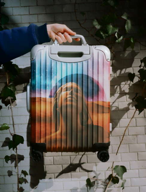 unnamed 6 Rimowa lance une collection capsule avec Palace