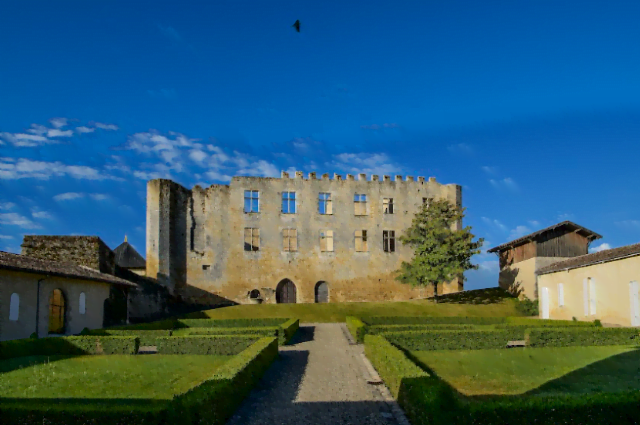 chateau Château de Fargues : du Sauternes à l’état pur